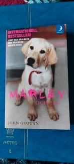 Zweeds pocket boekje, Boeken, Non-fictie, Zweeds, Ophalen of Verzenden, Zo goed als nieuw