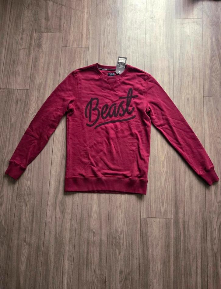 Bordeauxrode trui van Flight of the Beast in maat M (NIEUW), Kleding | Heren, Truien en Vesten, Nieuw, Maat 48/50 (M), Rood, Ophalen of Verzenden