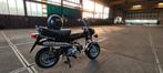 Honda Dax ST70, Fietsen en Brommers, Brommers | Honda, Ophalen, Overige modellen, 70 cc, Zo goed als nieuw