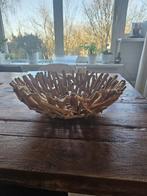 Driftwood fruitbowl, ofwel een fruitschaal van "wrakhout", Ophalen of Verzenden, Zo goed als nieuw