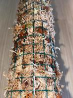 Copladupla Mospalen | Handgemaakt & verlengbaar, Overige soorten, Minder dan 100 cm, Groene kamerplant, Halfschaduw