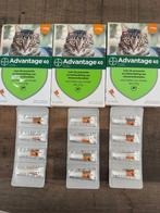 Te koop 1doos advantage vlooienmiddel voor katten, Dieren en Toebehoren, Katten-accessoires, Ophalen of Verzenden, Nieuw