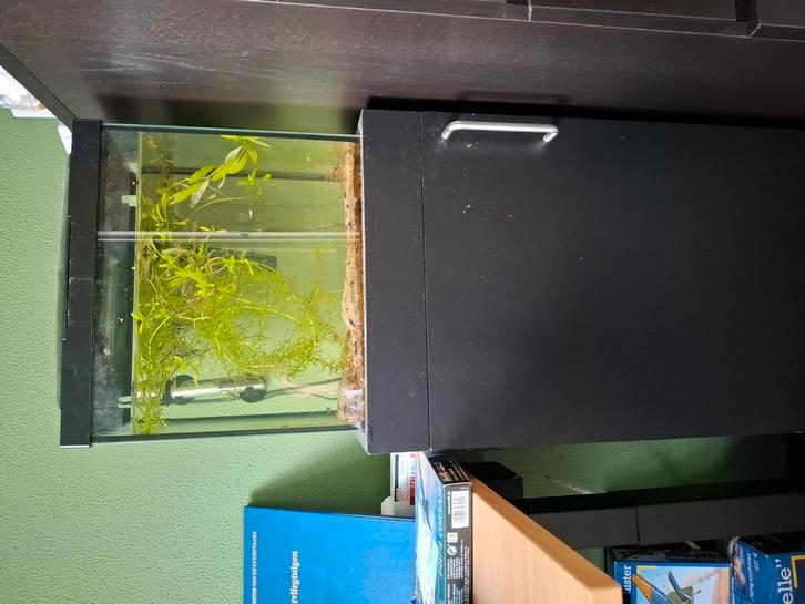 Aquarium, Dieren en Toebehoren, Vissen | Aquaria en Toebehoren, Gebruikt, Leeg aquarium, Ophalen
