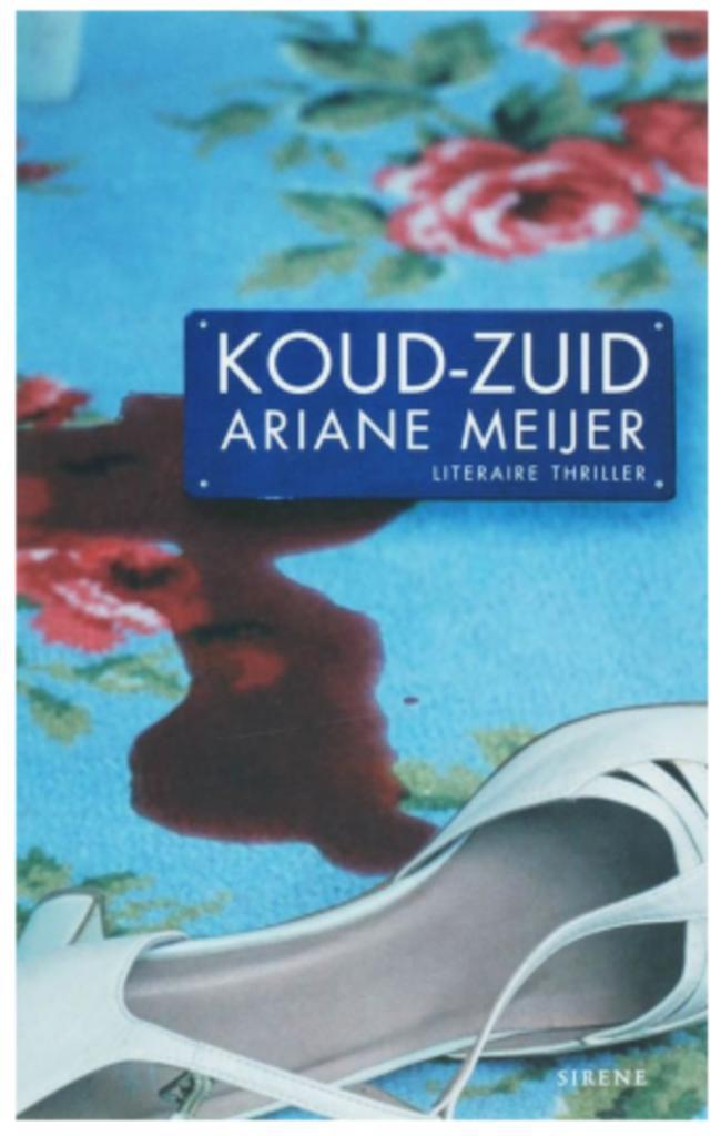 Ariana Meijer - Koud-Zuid, Boeken, Thrillers, Zo goed als nieuw, Ophalen of Verzenden