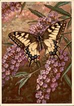 Voor het kind, Koninginnepage, Jan Voerman 1959, Verzenden, 1940 tot 1960, Gelopen, Natuur