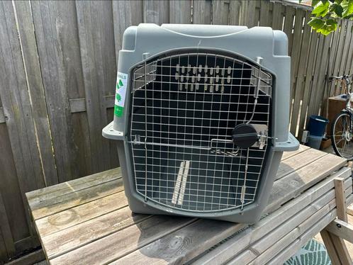 Te koop Petmate hondenkennel XL, Dieren en Toebehoren, Hondenhokken, Zo goed als nieuw, Hondenkennel, 65 tot 100 cm, 75 tot 110 cm