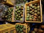 Stoofperen 5 kilo voor 3.00, Ophalen of Verzenden