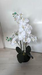 Orchidee plant kunst, Ophalen, Zo goed als nieuw
