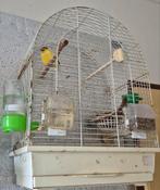 Kanarie, Dieren en Toebehoren, Vogels | Hokken en Kooien, Ophalen of Verzenden, Hout, Vogelkooi
