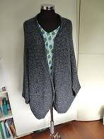 Blauw gemeleerd ruim vlindermodel vest van Opus 46 48 xL, Kleding | Dames, Blauw, Maat 46/48 (XL) of groter, Ophalen of Verzenden