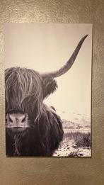 Schilderij canvas koe, Ophalen of Verzenden, Zo goed als nieuw, Schilderij, 75 cm of meer