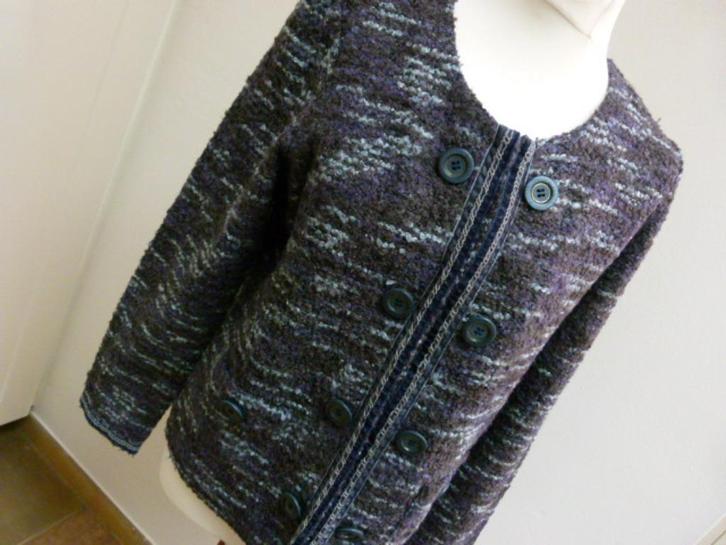 Jasje vest Roberto Sarto maat 42 L, Kleding | Dames, Truien en Vesten, Zo goed als nieuw, Maat 42/44 (L), Overige kleuren, Ophalen of Verzenden