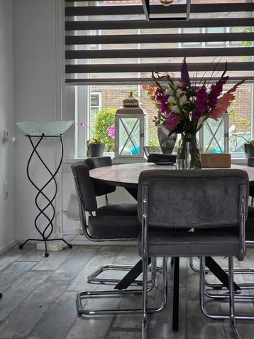 Eettafel met 8 stoelen beschikbaar voor biedingen