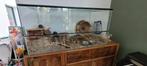 Terrarium, hamsterscaping, Kooi, Gebruikt, Muis, 75 tot 110 cm