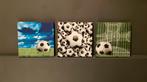 Voetbal schilderij set, Ophalen, Schilderij, Minder dan 50 cm
