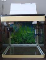 Aquarium, Dieren en Toebehoren, Vissen | Aquaria en Toebehoren, Ophalen, Gebruikt, Leeg aquarium