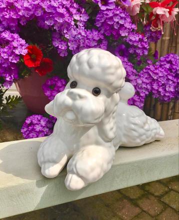 Vintage poedel hond beeldje van porselein 17 cm breed beschikbaar voor biedingen