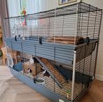 Caviahok en toebehoren, Dieren en Toebehoren, Knaagdieren en Konijnen | Hokken en Kooien, Minder dan 60 cm, Kooi, 110 cm of meer