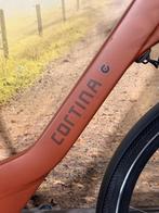 Cortina Common Elektrische fiets met voorwiel motor ebikes!, Fietsen en Brommers, Overige merken, Ophalen of Verzenden, Cortina