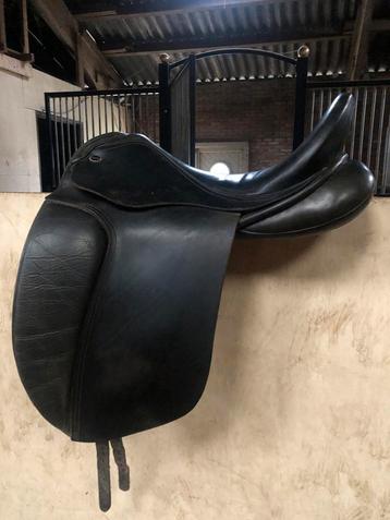 Fryso legancy, rossner America, pony zadel beschikbaar voor biedingen