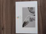 Google Pixel tablet 256 GB, Computers en Software, Android Tablets, Ophalen, Nieuw
