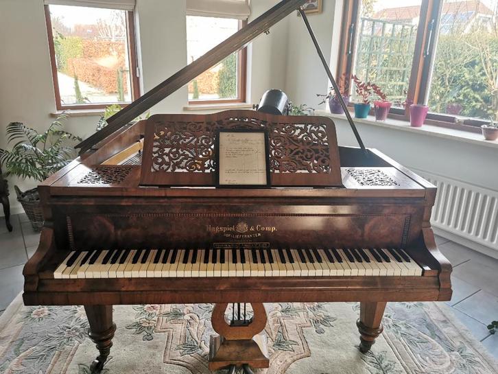 Baby-vleugel antiek van Hagspiel & comp, Muziek en Instrumenten, Piano's, Gebruikt, Vleugel, Overige kleuren, Ophalen