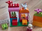 Duplo 10571. Alles in één roze doos. Zonder doos 😎, Kinderen en Baby's, Speelgoed | Duplo en Lego, Ophalen of Verzenden, Zo goed als nieuw