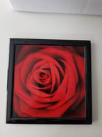 Rozen Schilderij, Gebruikt, Ophalen of Verzenden, Minder dan 50 cm, Minder dan 50 cm