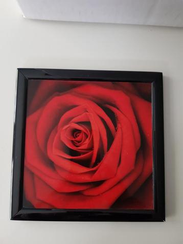 Rozen Schilderij beschikbaar voor biedingen