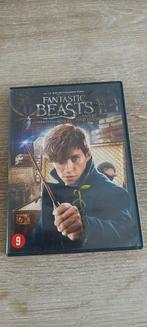 Dvd fantastic beasts and where to find them fantasy movie, Vanaf 9 jaar, Ophalen of Verzenden, Zo goed als nieuw, Fantasy