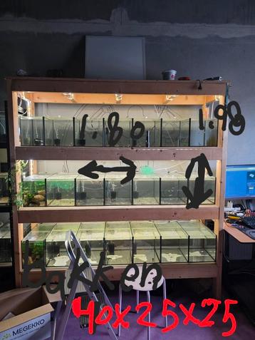 Stelling met aquariums beschikbaar voor biedingen