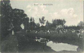 (701-334-029) Ankeveen beschikbaar voor biedingen