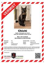 Poes vermist Den Bosch
