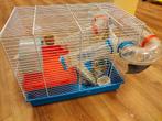 Knaagdierkooi/HamsterKooi., Kooi, Gebruikt, Minder dan 75 cm, Muis
