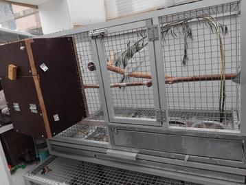 Grote kweekkooien inclusief broedblok beschikbaar voor biedingen