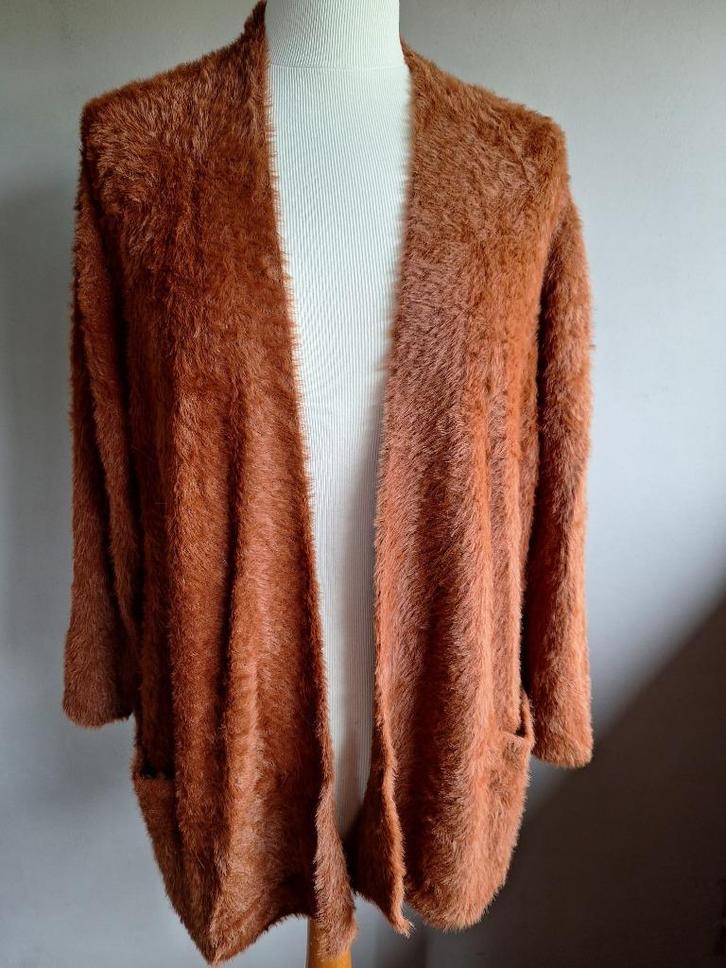 Nieuw brique zacht fluffy stretch vest van Rabe, maat 44, Kleding | Dames, Truien en Vesten, Nieuw, Maat 42/44 (L), Overige kleuren