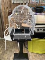 Vogelkooi met standaard, Ophalen, Zo goed als nieuw, Metaal, Vogelkooi