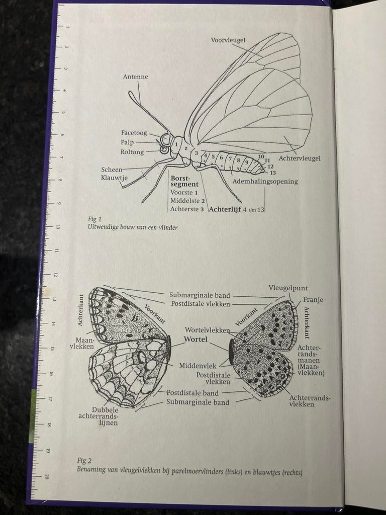 Nieuwe veldgids dagvlinders - Irma Wynhoff, Ophalen of Verzenden, Zo goed als nieuw, Natuur algemeen