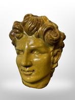 Buste hoogd gezicht beeld David de Michelangelo, Verzamelen, Beelden en Beeldjes, Ophalen of Verzenden