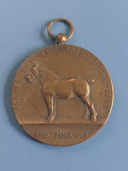 Penning paardekeuring Zeeland 1963, Postzegels en Munten, Penningen en Medailles, Brons, Nederland, Ophalen of Verzenden