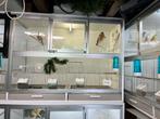 Wildzang/uitvliegkooien, Dieren en Toebehoren, Vogels | Hokken en Kooien, Ophalen of Verzenden, Zo goed als nieuw, Aluminium, Broedkooi of Kweekkooi