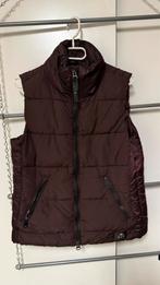 bodywarmer, Dieren en Toebehoren, Ophalen of Verzenden, Zo goed als nieuw, Recreatie, Bovenkleding