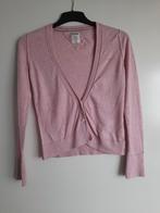 Dames vestje tommy hilfingher mt S, Ophalen of Verzenden