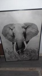 Zwart-wit olifant foto in lijst, Huis en Inrichting, Minder dan 50 cm, Oorspronkelijke maker, Ophalen of Verzenden, Zo goed als nieuw