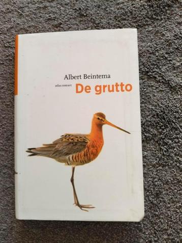 De Grutto - Albert Beintema beschikbaar voor biedingen