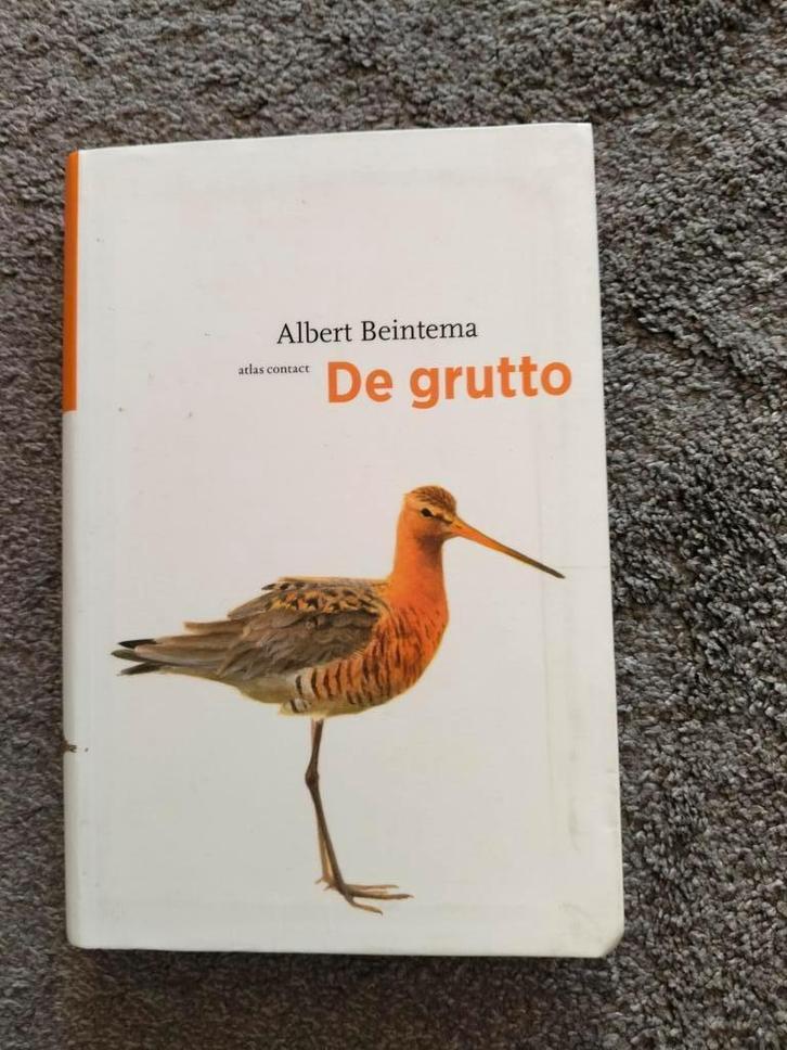 De Grutto - Albert Beintema, Boeken, Natuur, Zo goed als nieuw, Vogels, Ophalen of Verzenden