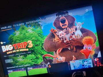 Proline TV 55 inch - Perfect voor Filmavonden! beschikbaar voor biedingen