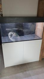 Zeewater aquarium Red sea 350 STARTKLAAR, Ophalen, Gebruikt, Leeg aquarium