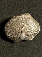 Fijn afgewerkt zilveren doosje in de vorm van een mossel, Sieraden, Tassen en Uiterlijk, Manchetknopen, Ophalen of Verzenden, Zo goed als nieuw