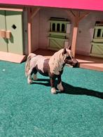 Schleigh pony, Dieren en Toebehoren, Meerdere dieren